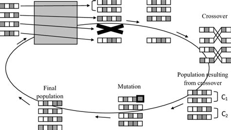 Image result for Algorithm Cycle
