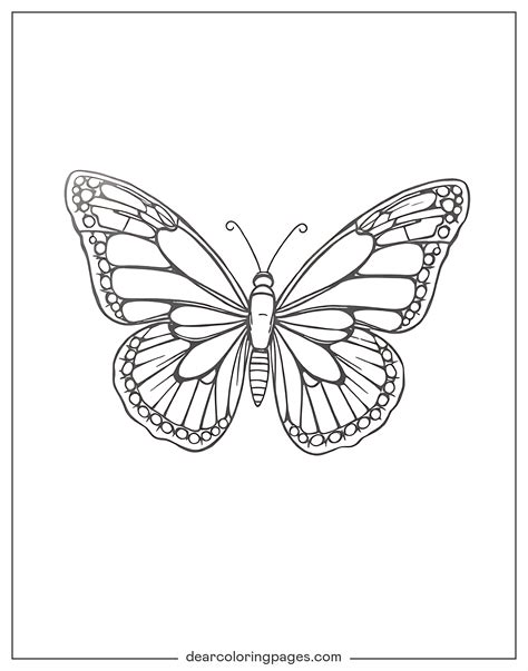Monarch Butterfly Coloring Pages [2025]
