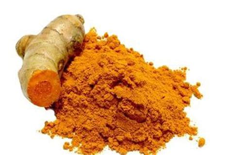 10 पदार्थ जे डेंग्यूचा धोका टाळण्यास आणि बचाव करण्यास करू शकतात मदत ...