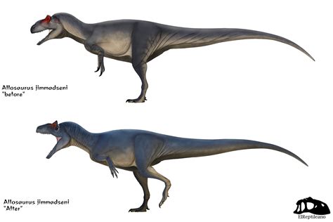 Allosaurus Size Comparison To T Rex