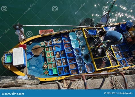 卖从她的小船的妇女鲜鱼 图库摄影片. 图片 包括有 新鲜, 渔夫, 汉语, 香港, 聚会所, 城市, 出售 - 50918532
