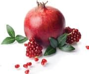 Top Nutrients That Help Prevent Prostate Cancer - Life Extension
