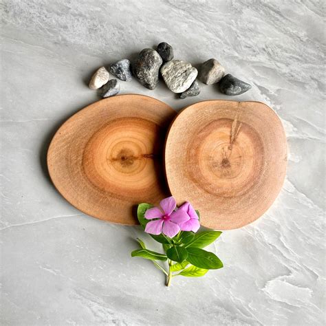 T One Woods Round DIY Craft Wooden Log Natural Bark Coaster/Slices, 3 ...