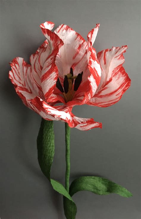 How to make a crepe paper semper augustus tulip – Artofit