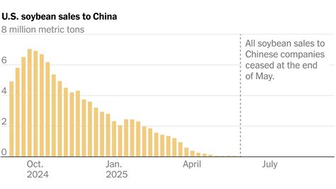 China's purchases of US soybeans now at $0 | Debate Politics