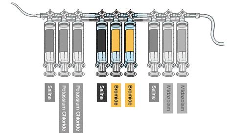 Execution by lethal injection, explained - CNN