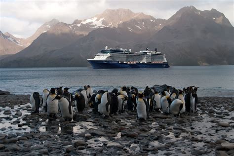 Black Friday Cruise Deals: Save on 2024, 2025, and 2026 Cruises