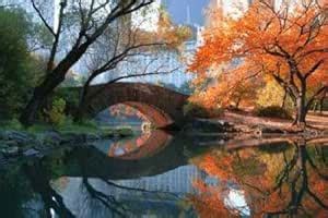 Gapstow Bridge Fall by Chen, Michael - fine Art Print on Paper : 65 x ...