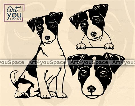 2,000+ Jack Russell Terrier Illustrations, Royalty-Free Vector - Clip ...