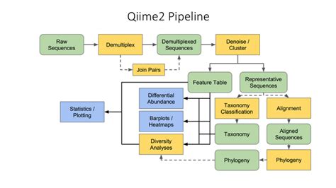 Image result for Qiime2 Importing Data Tutorials
