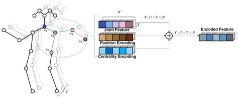 A Graph Skeleton Transformer Network for Action Recognition