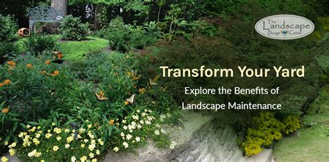 Image result for Landscape Maintenance Tips