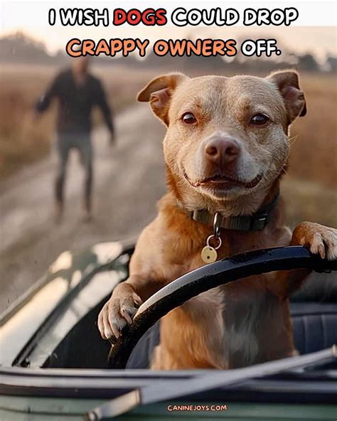 Pin by Irina Lucardie on ANIMAL CRACKERS🐶🦴🍖 | Cute funny dogs, I love ...