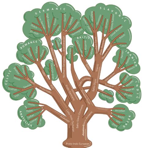 Image result for Language Evolution Flow Chart