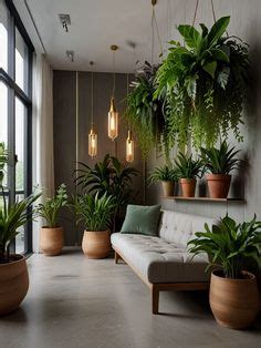 LONG LIGHTS IN CAFE,The Connection Between Plants and Well-Being ...