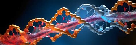 Biochemical Example 的图像结果