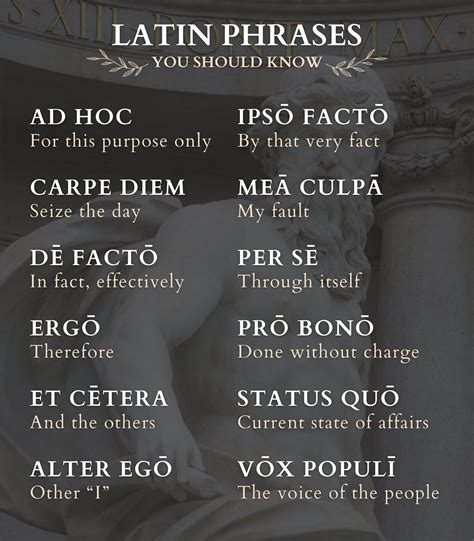 Latin Words Quotes Veni, Vidi, Vici… And Other Latin Phrases! | By
