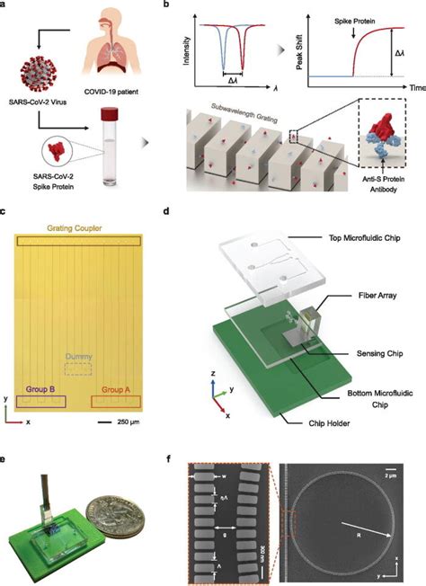 Image result for Lab On a Chip How It Works
