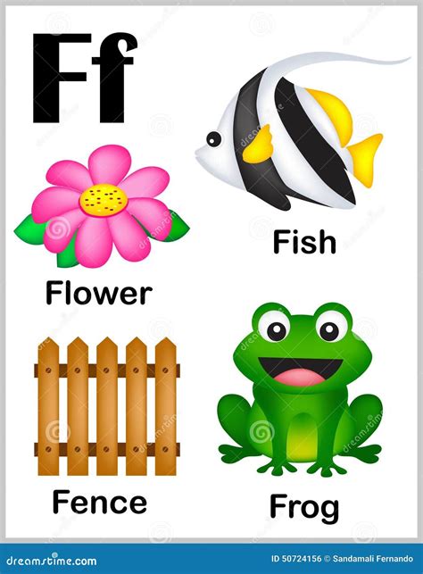 Alphabet letter F pictures stock vector. Illustration of early - 50724156 | Kids learning ...