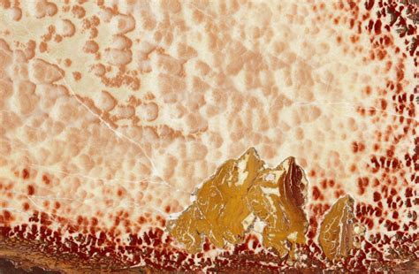 Italian Marble Flooring In India | Marble centre in Chennai - Marble Italia