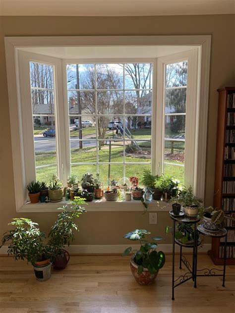 How To Decorate A Bay Window Shelf at Judith Stephens blog