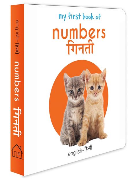 My First Book of Numbers – Ginti (English–Hindi) | Bilingual Number ...