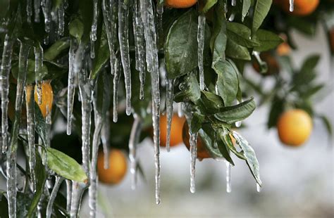 Warmer Temperatures May Offer California Farmers a Rare Silver Lining ...