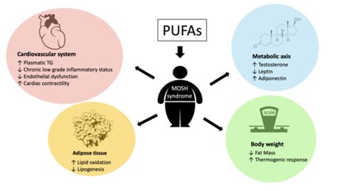 Nutrients | Special Issue : Dietary Intake and Chronic Disease Prevention