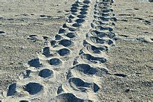 Image result for Alien Threading EYFS