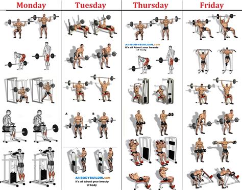The 4 Day A Week Beginner’s Workout – all-bodybuilding.com