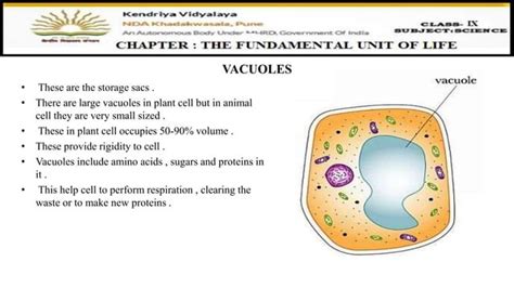 Image result for Types of Solution for Cell Class 9