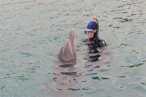 Snorkeling In Israel: 6 Spots That You Must Visit In 2025