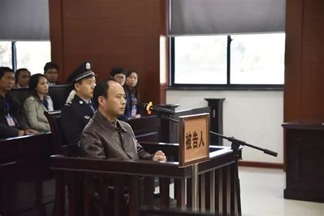 六安一乡镇原党委书记被判刑四年，并处罚金35万元！_丁毅
