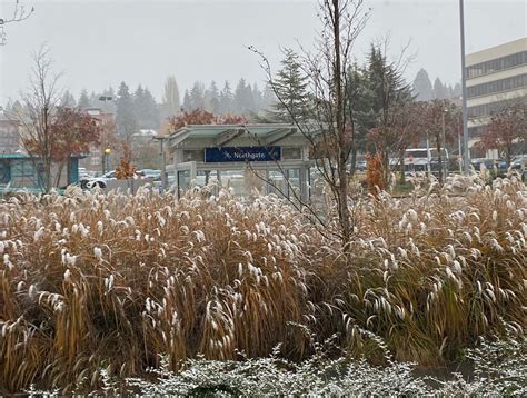 Is Seattle’s snowy start to winter a sign of things to come? - Seattle ...