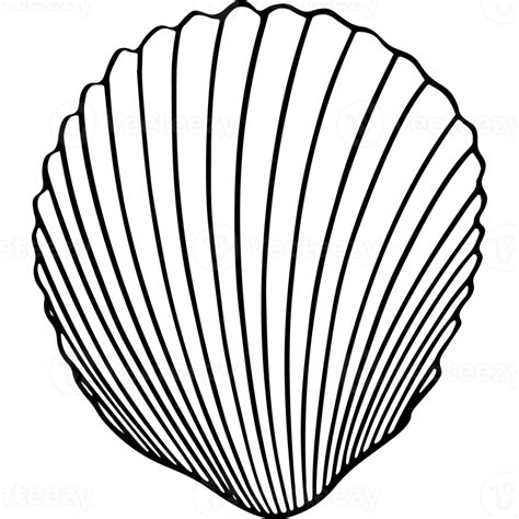 Shell Icon 的图像结果