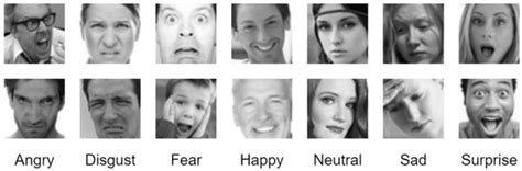 An Efficient Approach to Face Emotion Recognition with Convolutional ...