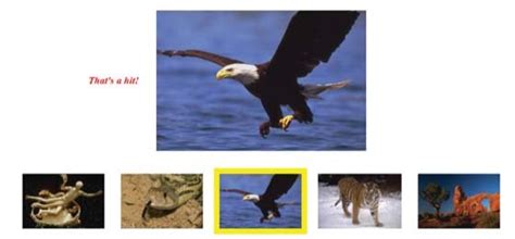 Image result for Remote Viewing Test