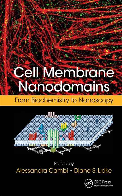 Buy Cell Membrane Nanodomains: From Biochemistry to Nanoscopy Book ...