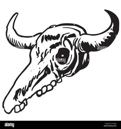 simple black and white cow skull cartoon Stock Vector Image & Art - Alamy