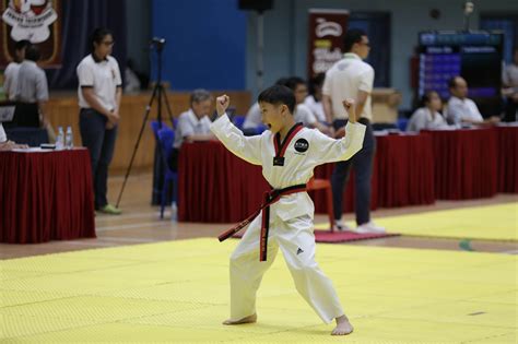 Taekwondo Red Belt Martial Arts Belt Red/Black | Phoenix Fight Gear