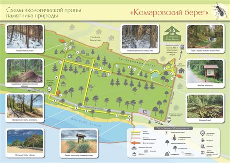 Экотропа «Комаровский берег» - ГКУ «Дирекция особо охраняемых природных ...