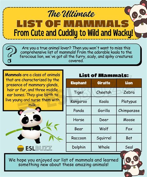 A Comprehensive List of Mammals for Animal Lovers - ESLBUZZ