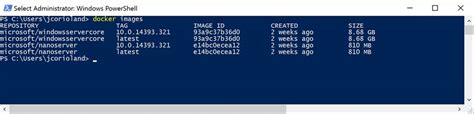 Image result for Install Windows Containers
