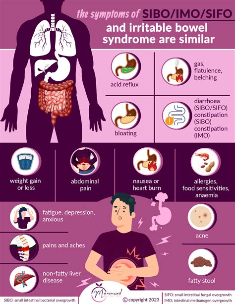 Symptoms Of Sibo