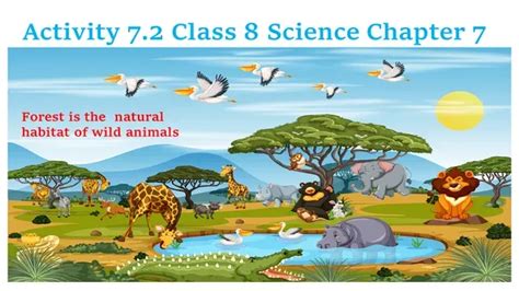 Class 7 Chapter 8 Science Activities 的图像结果