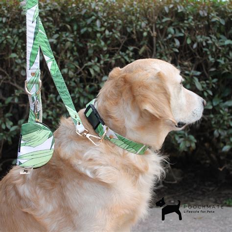 PoochMate Palm Dog Collar Set | Cotton Dog Collars Online India | PoochMate
