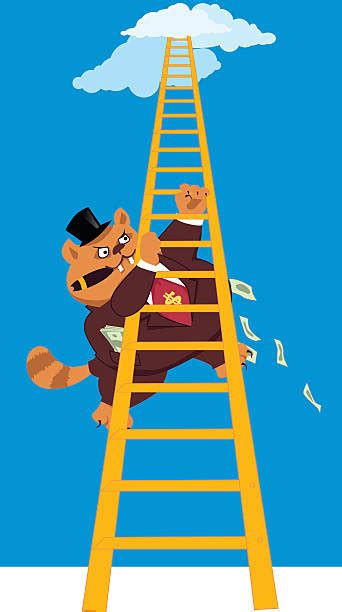 Monty Python Cat Beating 的图像结果