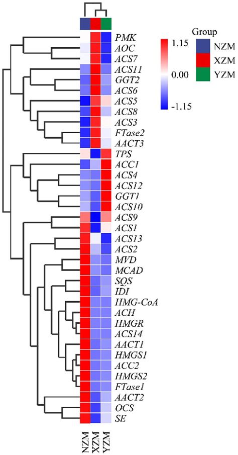 Transcriptome TreeMap 的图像结果