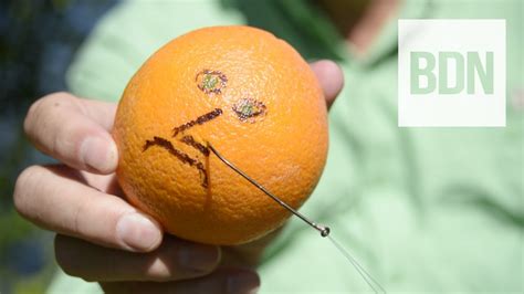 Image result for String Yank Method