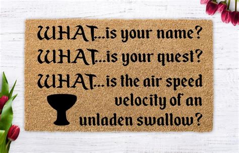 Image result for Monty Python Bridge Troll